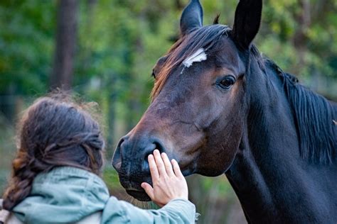 mujer folla con caballo|259 368 Imágenes gratis de Mujer Teniendo Con Caballo